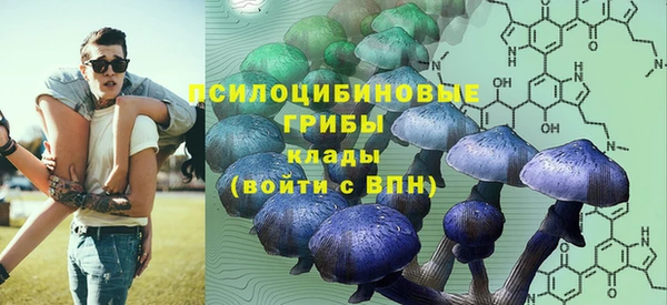 дмт Алзамай