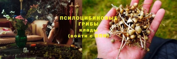 дмт Алзамай